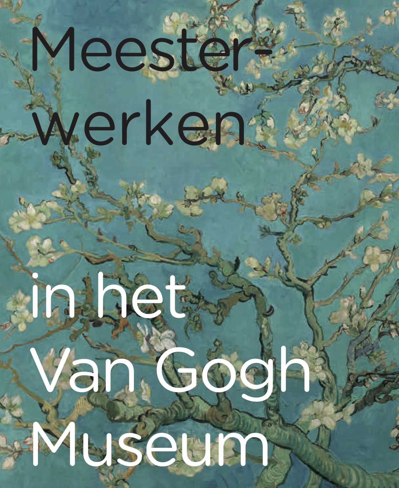 Masterpieces in the Van Gogh Museum - cover NL